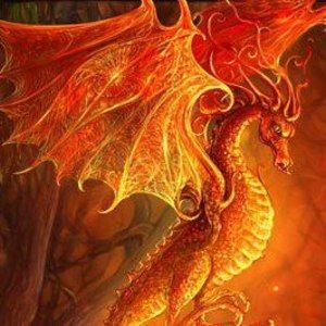 Meet your Posher, Anne